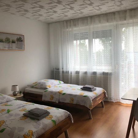 Studios Near Basel Airport 생루이 외부 사진