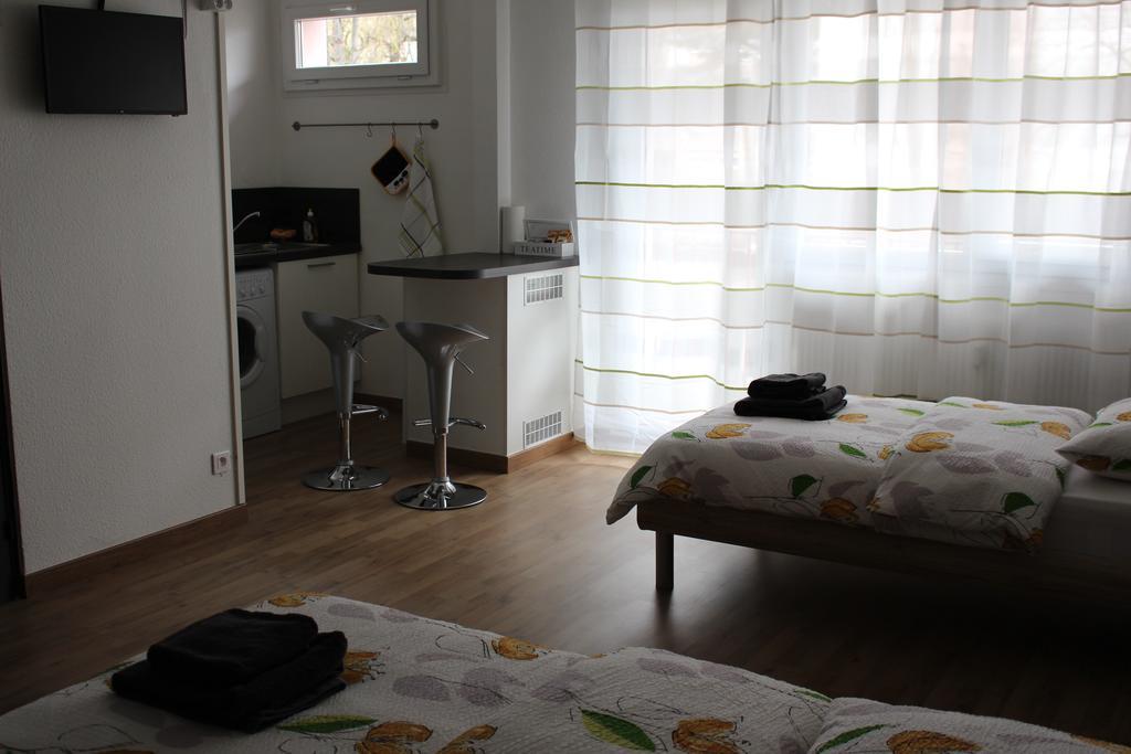 Studios Near Basel Airport 생루이 외부 사진