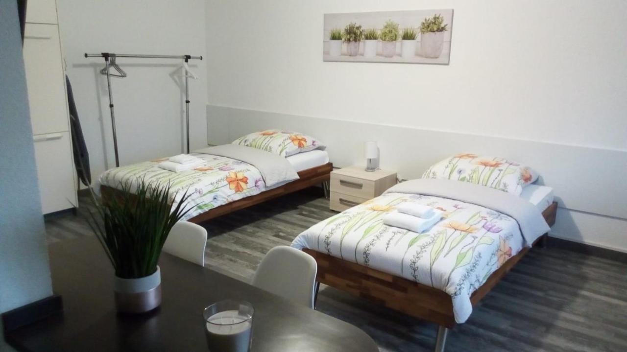 Studios Near Basel Airport 생루이 외부 사진